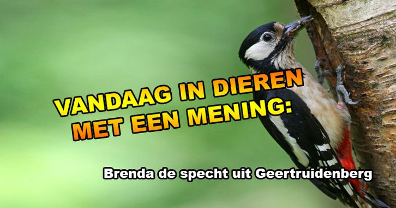 Dieren met een mening