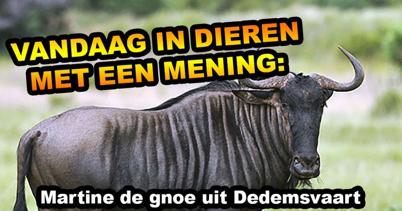 Dieren met een mening