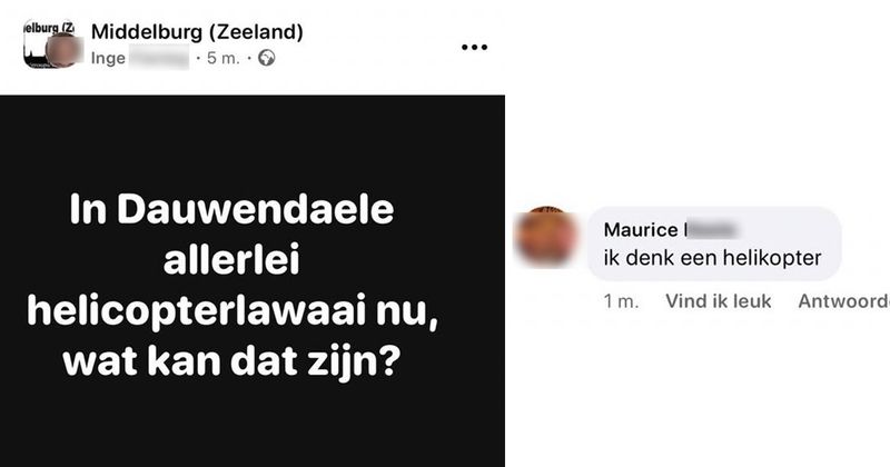 26 vet grappige reacties om doorheen te scrollen op je tuinstoel