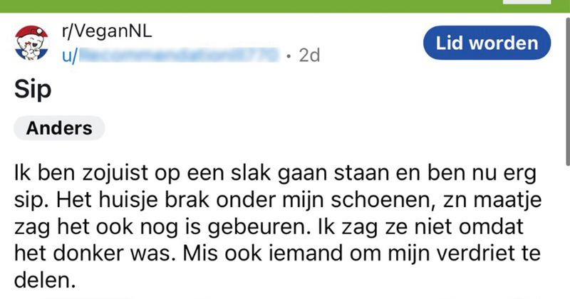 Hier een vermakelijke discussie tussen mensen die wel eens per ongeluk op een slak zijn gaan staan (11 screens)