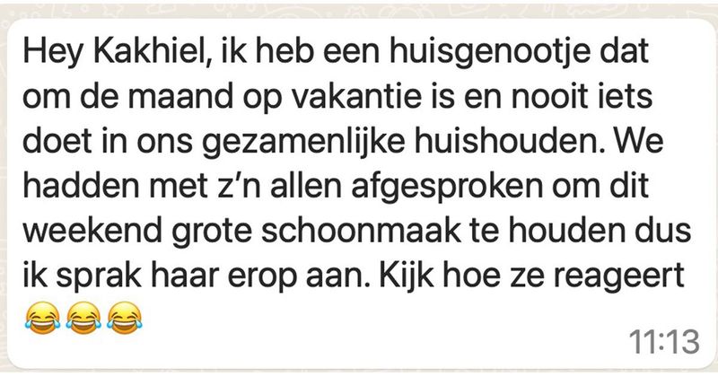 Huisgenootje stemt in met gezamenlijke schoonmaak, gaat vervolgens vrolijk op vakantie en als daarop aangesproken wordt reageert ze zo (5 screens)