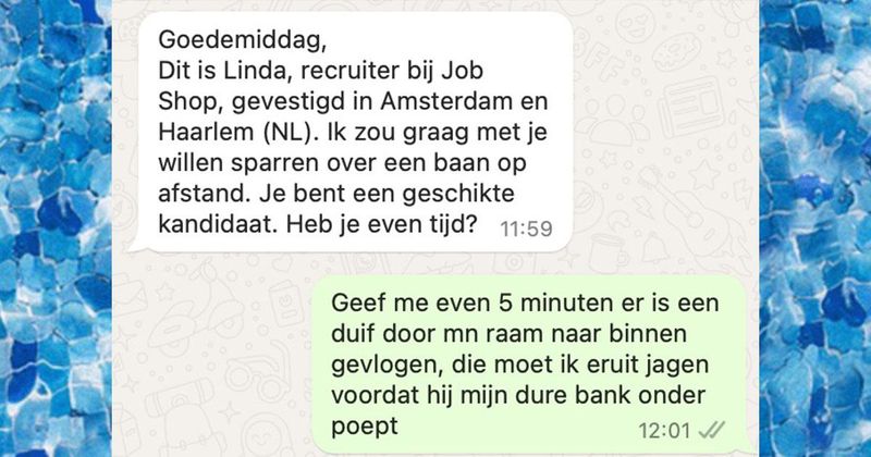 Oplichter komt met hele slechte tips over hoe je een duif uit je huis moet jagen (10 screens)