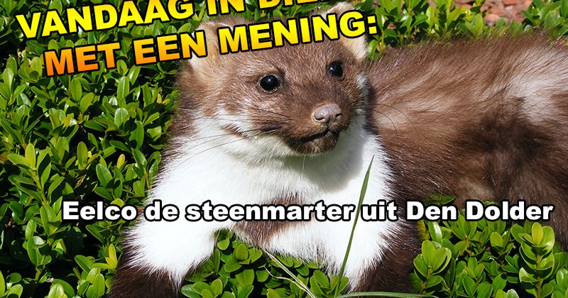 Dieren met een mening
