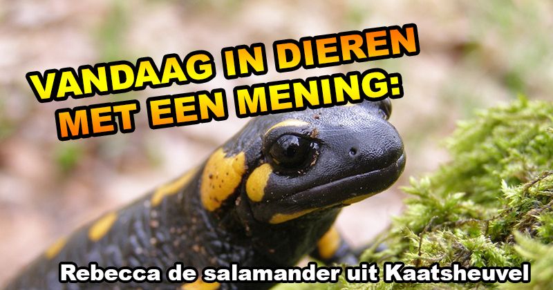 dieren met een mening