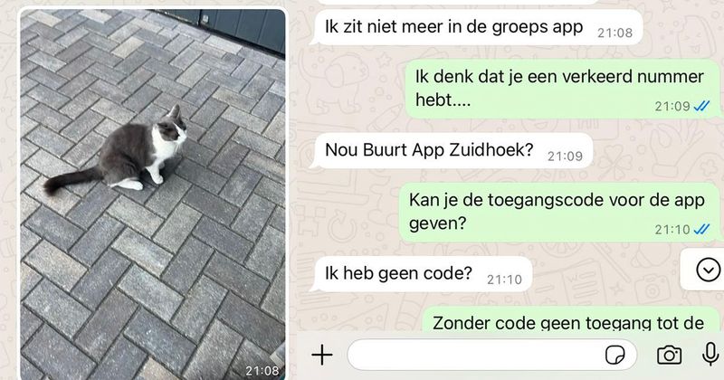 Iemand deze poes kwijt? Ze is gevonden in een straat met een nogal toepasselijke naam... (5 screens)