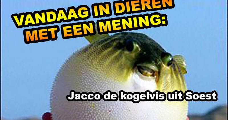 Dieren met een mening