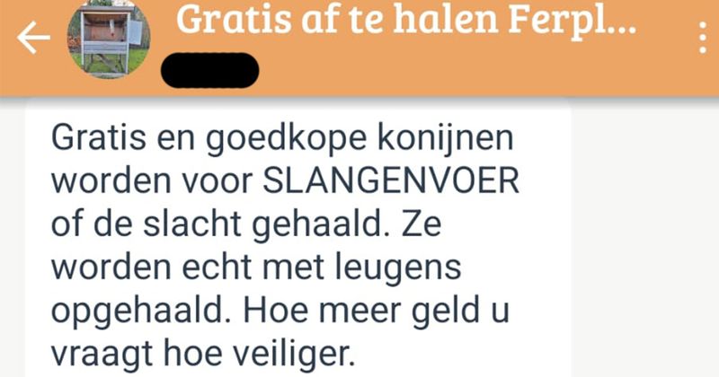 Meisje probeert een gratis konijnenhok weg te geven via Marktplaats en krijgt vervolgens deze 'konijnen pro-lifer' op haar dak (8 screens)
