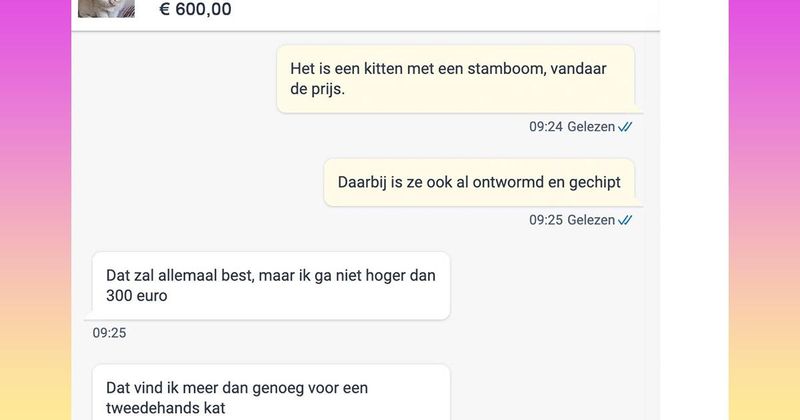 Karen flipt helemaal de pan uit omdat ze een 'tweedehands kat' met stamboom niet voor de helft van de prijs mag