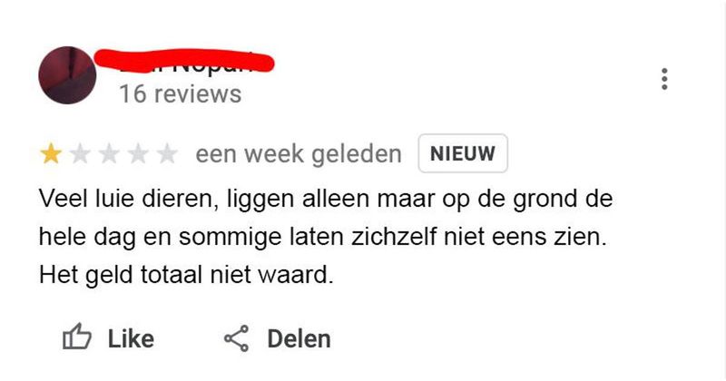 20 willekeurige zeik-reviews van mensen die voortaan misschien maar beter gewoon lekker thuis kunnen blijven