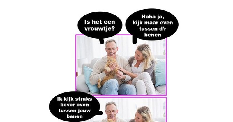 Voor de kat z'n kut