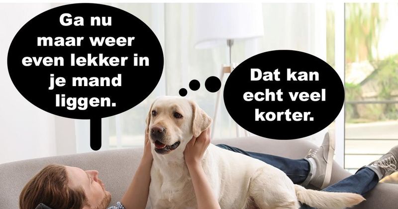 Mand
