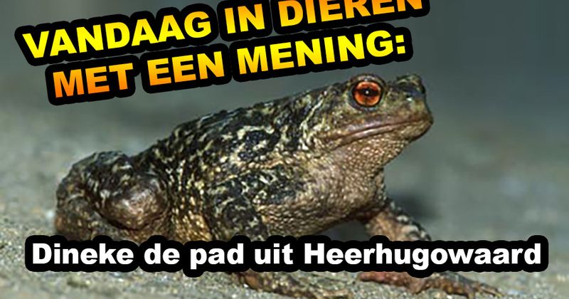 Dieren met een mening