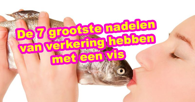 De 7 grootste nadelen van verkering hebben met een vis