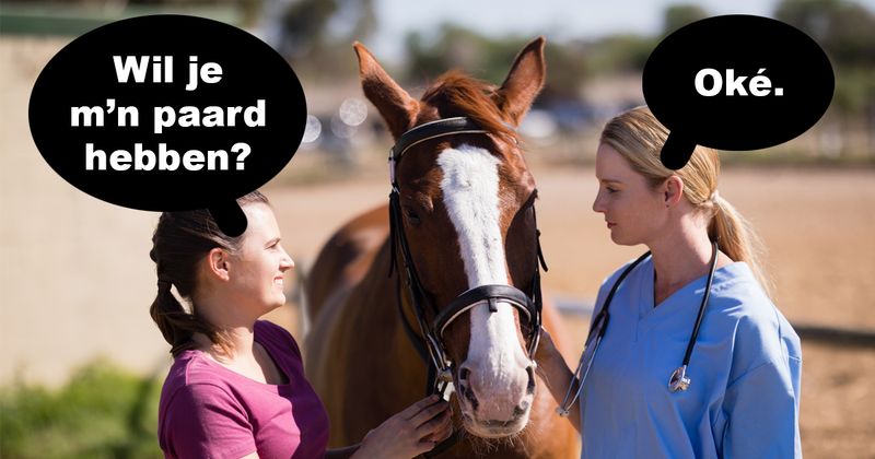 Als je ooit nog een paard cadeau krijgt van iemand zijn dit wel een paar belangrijke punten om op te letten (14 screens)