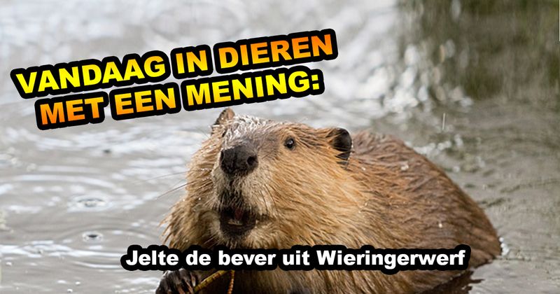 Dieren met een mening