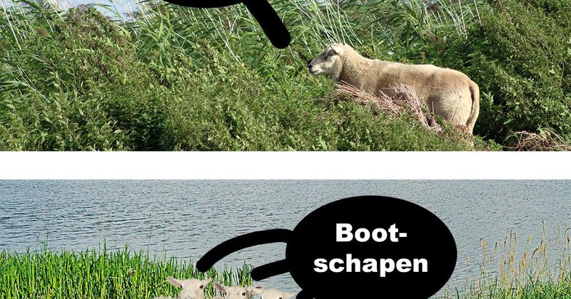 ff naar de winkel