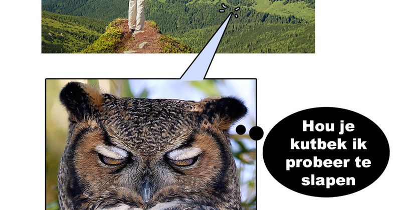 Nooit schreeuwen in de natuur