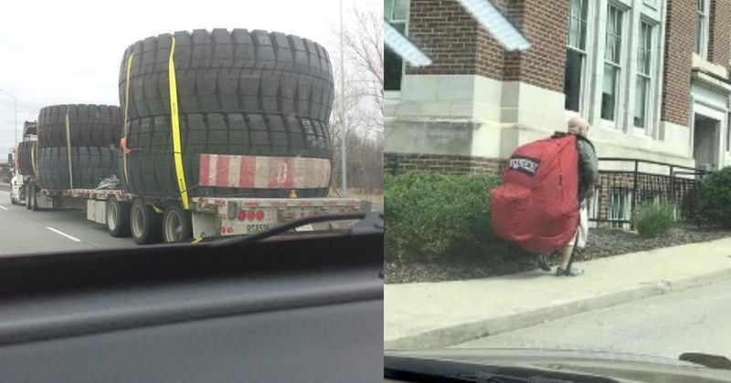 25 dingen die zo groot zijn dat je er bang van wordt