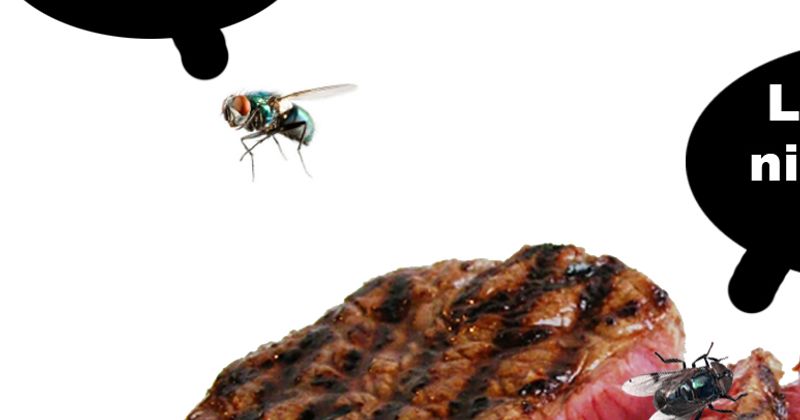 In de steak