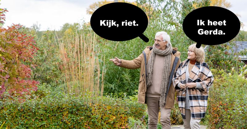 Riet
