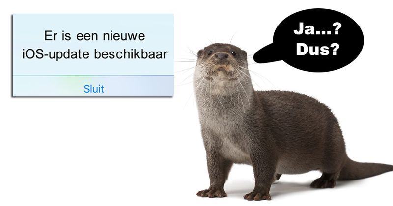5 dingen waar je als otter geen zak mee te maken hebt