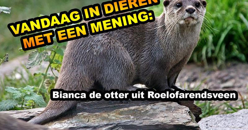 Dieren met een mening