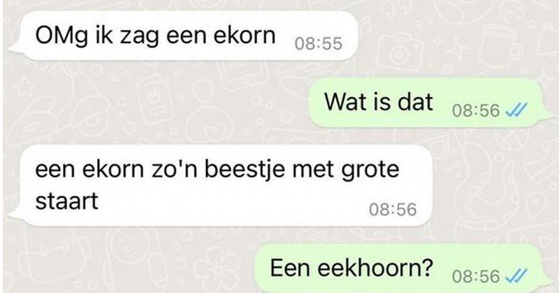 23 mensen die niet echt snappen hoe woorden werken