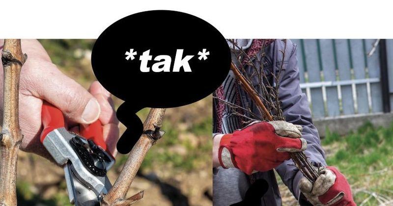 Takkeherrie 