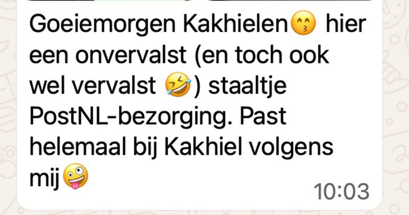 Vrouw zit de hele dag voor het raam te wachten op een PostNL-bezorger die volgens de helpdesk al had aangebeld en dit is de foto die ze meesturen als bewijs (8 screens)