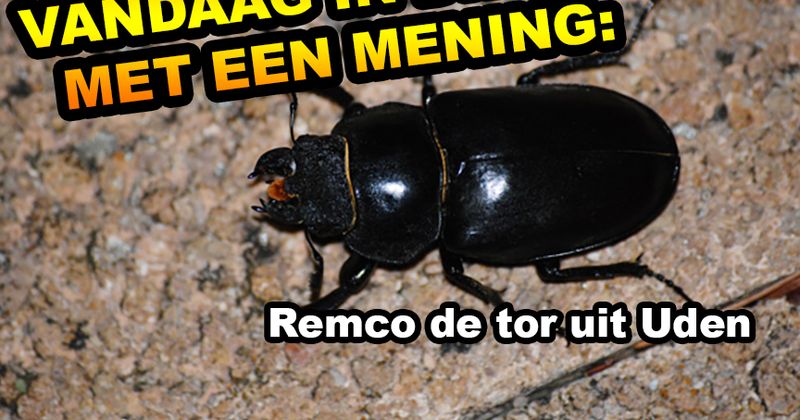 Dieren met een mening