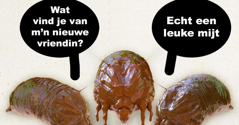 Nieuwe vriendin