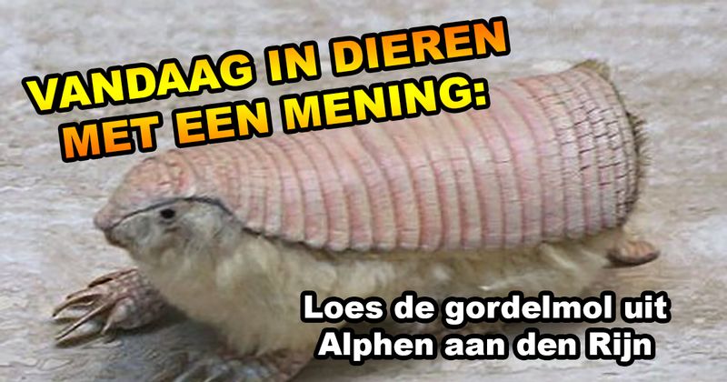 Dieren met een mening