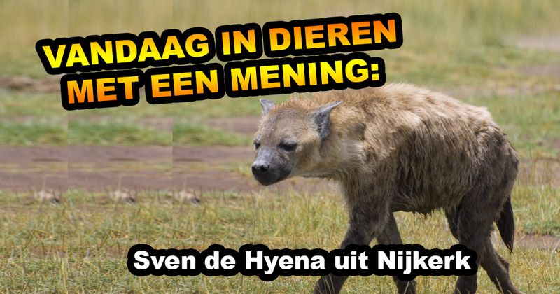 Dieren met een mening