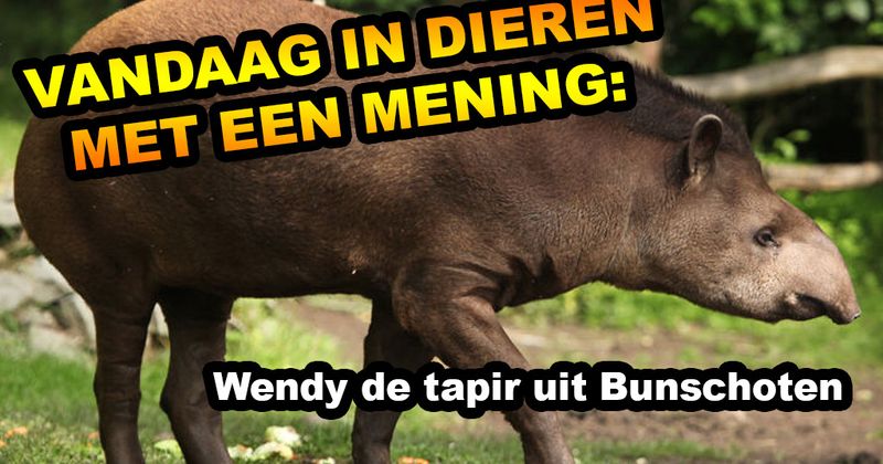 Dieren met een mening