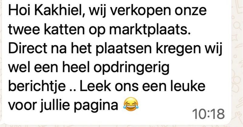 Opdringerig persoon probeert katten te kopen op Marktplaats en begint gelijk te schelden als er niet binnen 1 minuut gereageerd wordt (5 screens)