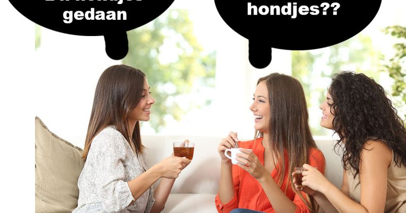 Op z'n hondjes