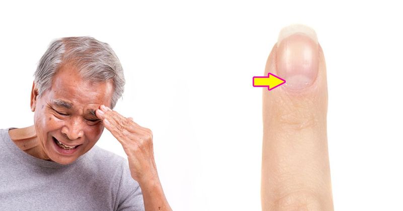 15 random dingen waar niemand ooit de naam van weet