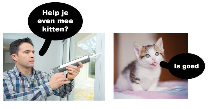 10 schandalig domme grappen om je dag mee af te sluiten