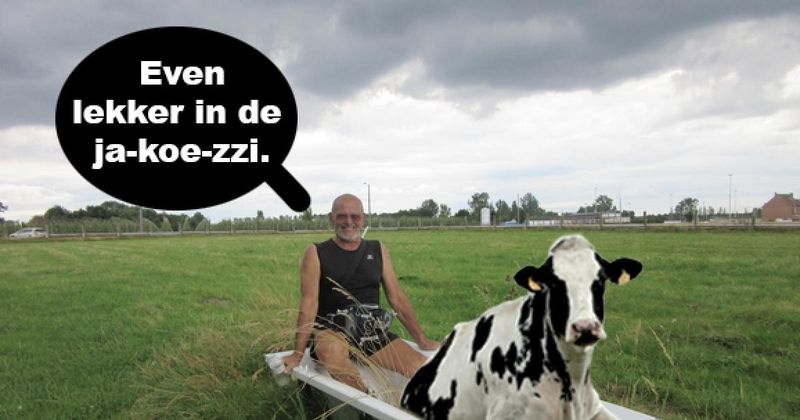 De ideale zondag