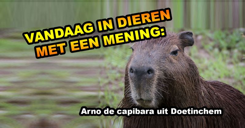 Dieren met een mening