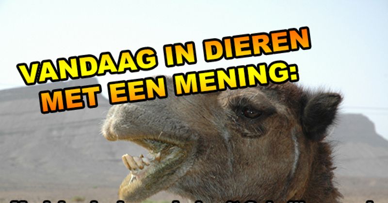Dieren met een mening