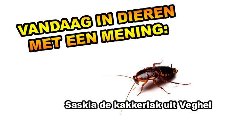 Dieren met een mening