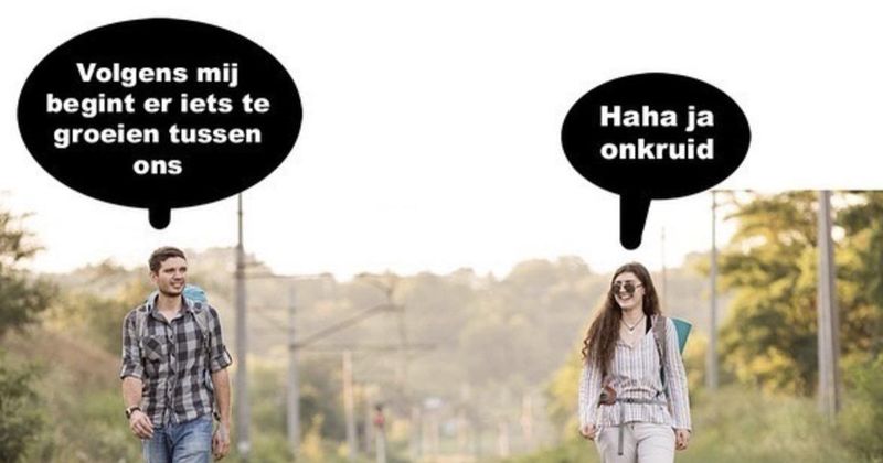 Er groeit iets