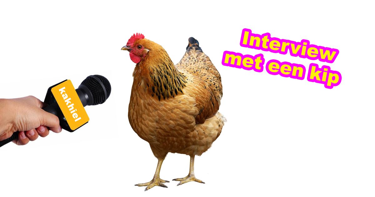 Interview met een kip | Kakhiel