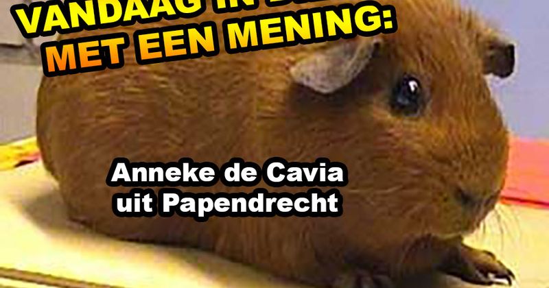 Dieren met een mening