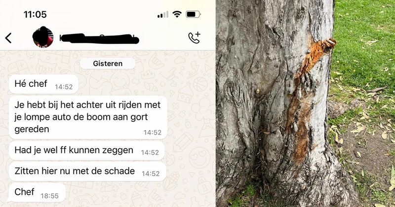 Verkoper van Facebook Marketplace eist schadevergoeding omdat iemand die iets kwam ophalen ongeluk met zijn busje tegen een boom voor zijn huis is gereden, dit is de 'schade' (7 screens)