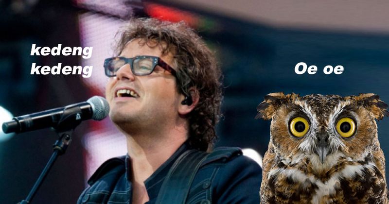 10 bekende Nederlandse songteksten die nergens op slaan
