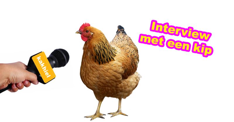 Interview met een kip