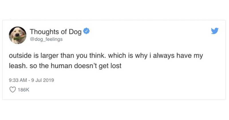 16 vet grappige tweets van een hond