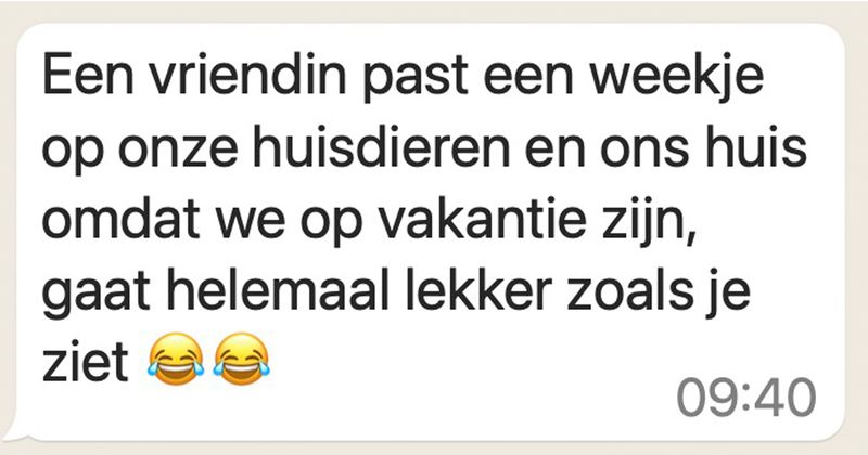 Meisje past een week op het huis van een vriendin die op vakantie is, inclusief huisdieren Ollie en Kroket en de RVS-pan waar alles in mislukt (6 screens)